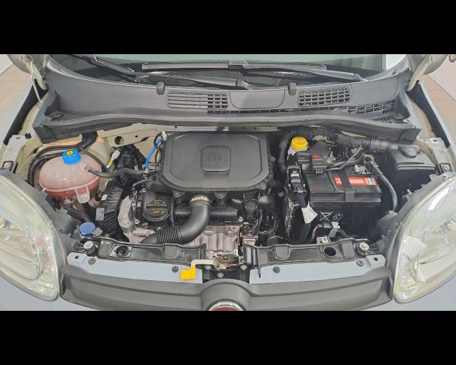 FIAT New Panda usata 17