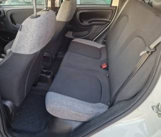 FIAT Panda usata 13