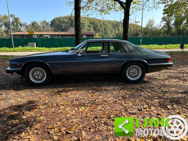 JAGUAR XJ usata 13