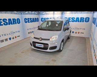 FIAT New Panda usata, con Airbag laterali