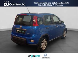 FIAT Panda usata, con Alzacristalli elettrici