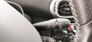 CITROEN C3 Picasso usata 80
