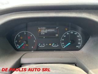 FORD Transit usata, con Bracciolo