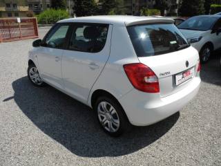 SKODA Fabia usata 68