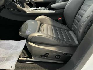 ALFA ROMEO Stelvio usata, con ESP
