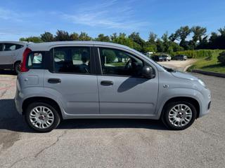 FIAT Panda usata, con Chiusura centralizzata
