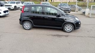 FIAT Panda usata, con Alzacristalli elettrici