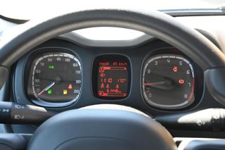 FIAT Panda usata, con Bracciolo