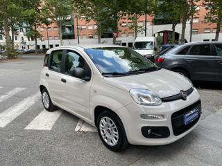 FIAT Panda usata, con Airbag Passeggero