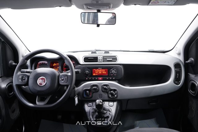 FIAT New Panda usata 22