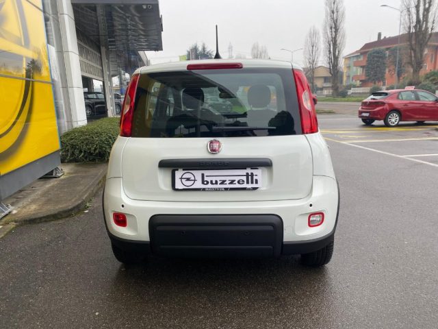 FIAT Panda usata, con Alzacristalli elettrici