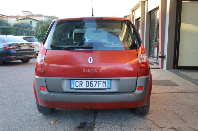 RENAULT Scenic usata 51