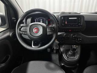 FIAT Panda usata, con Frenata d