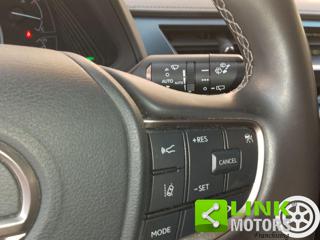 LEXUS UX 250h usata, con Apple CarPlay