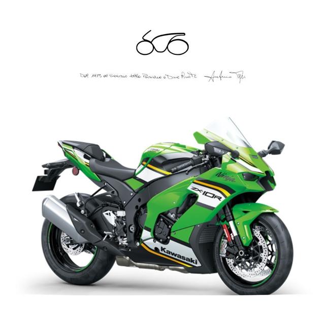 KAWASAKI Ninja 1000 ZX-10R usata 0