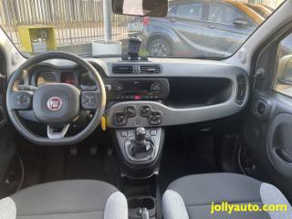 FIAT Panda usata 23