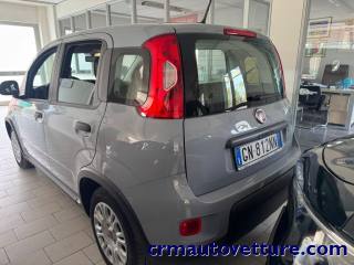 FIAT Panda usata, con Airbag