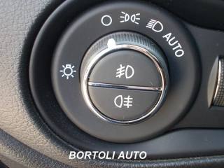 JEEP Renegade usata, con Autoradio digitale