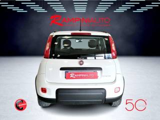 FIAT Panda usata 7