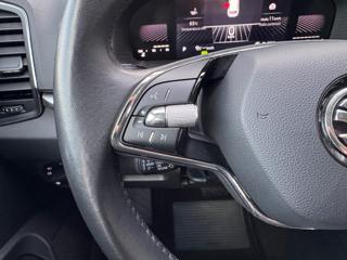 SKODA Karoq usata, con Volante in pelle