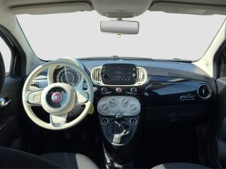FIAT 500 usata 11