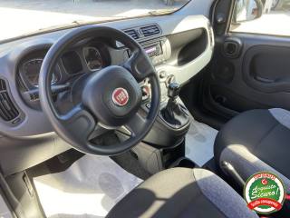 FIAT Panda usata, con Autoradio