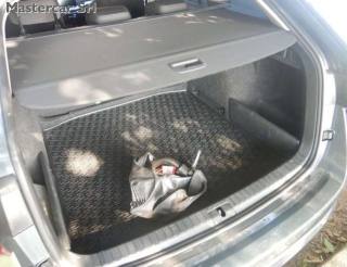 SKODA Octavia usata, con Chiusura centralizzata