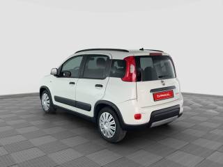 FIAT Panda usata 2
