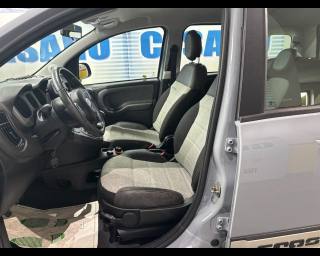 FIAT New Panda usata 14