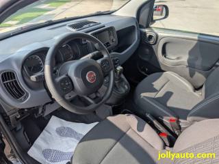 FIAT Panda usata 20