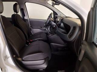 FIAT Panda Cross usata, con Controllo automatico clima