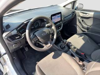FORD Fiesta usata 8