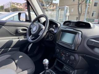 JEEP Renegade usata, con Cronologia tagliandi