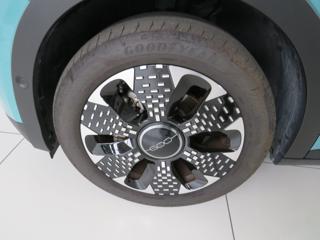 FIAT 600 usata, con Fendinebbia