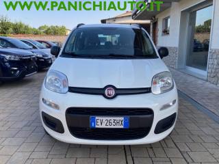 FIAT Panda usata, con Airbag Passeggero