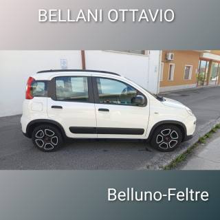 FIAT Panda usata, con Controllo trazione