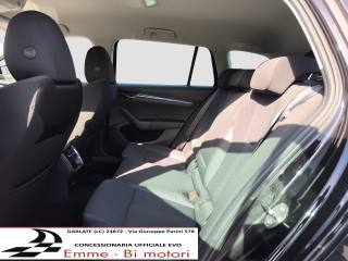 SKODA Octavia usata, con Servosterzo