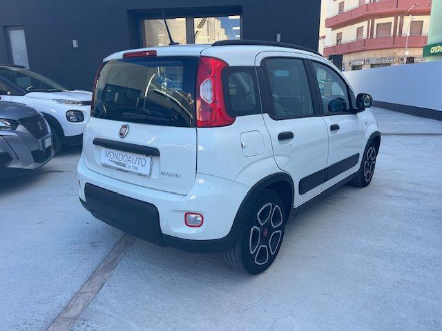 FIAT Panda usata, con Airbag Passeggero