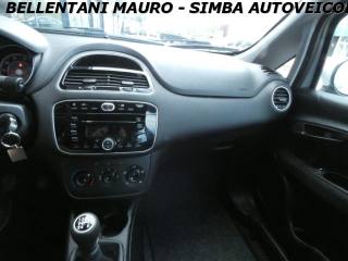 FIAT Punto usata 11