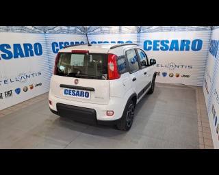 FIAT New Panda usata, con Alzacristalli elettrici