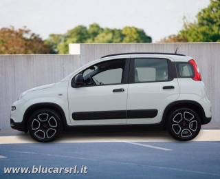 FIAT Panda usata, con Airbag Passeggero