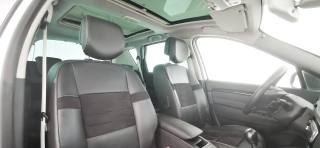 RENAULT Scenic usata 51
