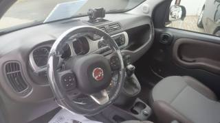 FIAT Panda usata, con Cronologia tagliandi
