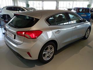 FORD Focus usata, con Airbag Passeggero