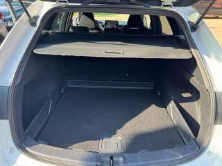 SUZUKI Swace usata, con Controllo vocale