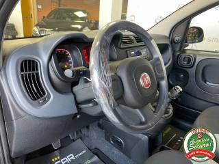 FIAT Panda usata, con Controllo trazione