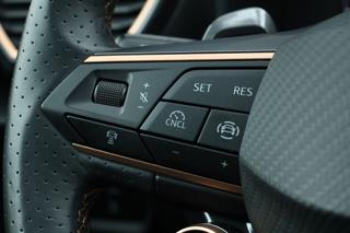 CUPRA Formentor usata, con Controllo vocale