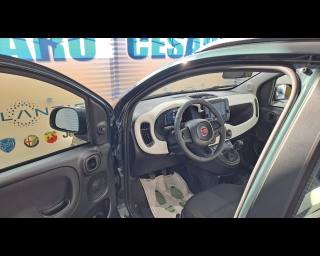 FIAT Pandina Cross usata, con Chiusura centralizzata