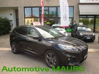 FORD Kuga 2.0 EcoBlue 120 CV aut. 2WD ST-Line X
