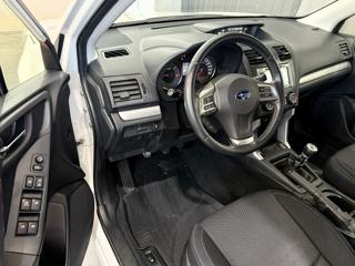 SUBARU Forester usata, con Fendinebbia